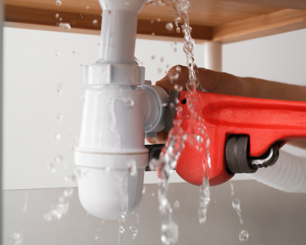 What to Expect During a Professional Plumbing Inspection